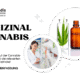 Medizinalcannabis in der Apotheke: Erfahren Sie alles über Anwendung, rechtliche Aspekte und Verfügbarkeit für Patienten.
