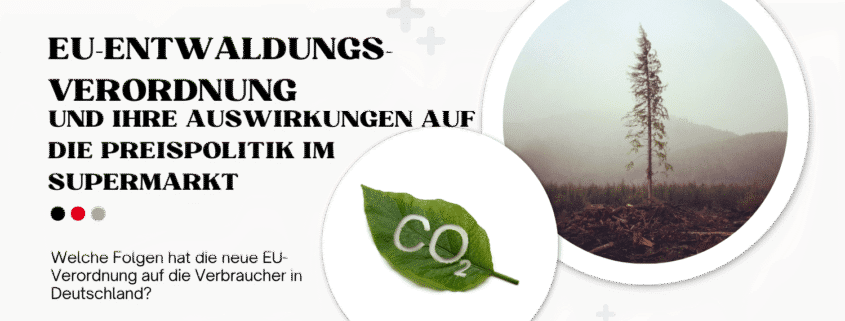 Die neue EUDR kommt: Welche Pflichten haben Unternehmen und steigen jetzt die Lebensmittelpreise?
