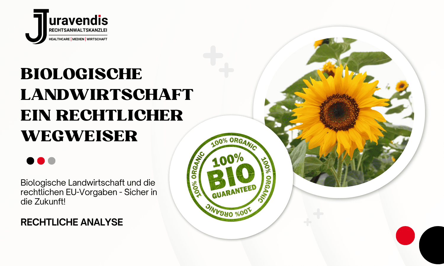 Die biologische Landwirtschaft in Deutschland boomt - Was ist wirklich wichtig?